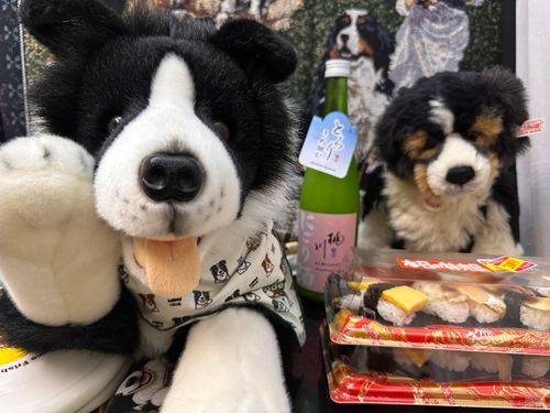 👋Привет, дорогие друзья!🐶「親愛なる皆さんこんにちは！」