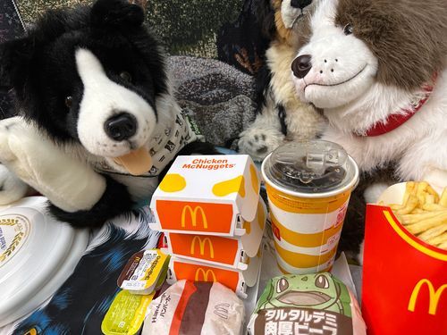 👋やあ🐶
今日は飼い主がマックを買って来たよ🐶🍔🍟🥤🍗✨