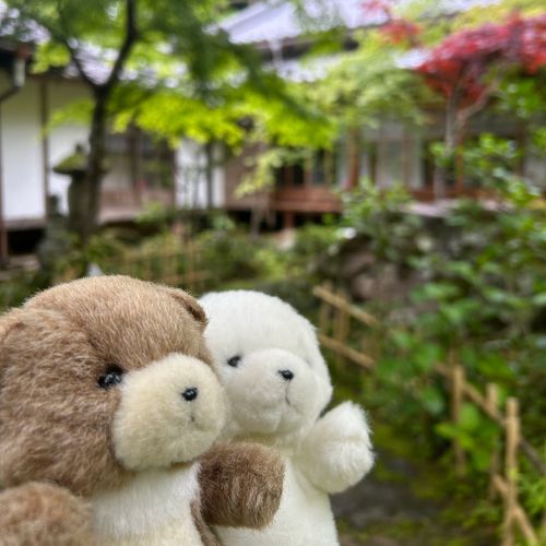 百済寺