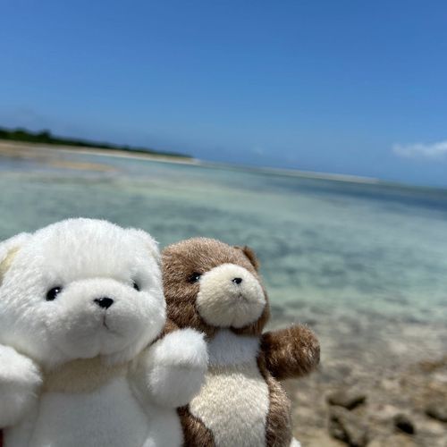 海だー