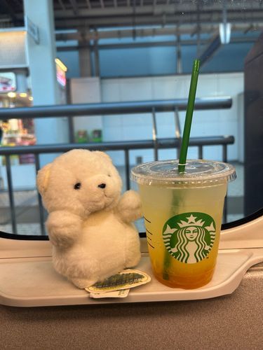 ゆずシトラス かなりおいしい