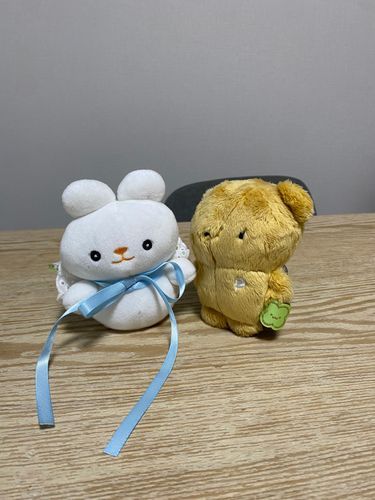 SNSを投稿しようとしたらはじめましてのぬいぐるみさん、ピニームーが来てくれたよ。
家の中ではいちばんのしんじんなんだ。
きんちょうするけどがんばってなかよくするぞ〜！