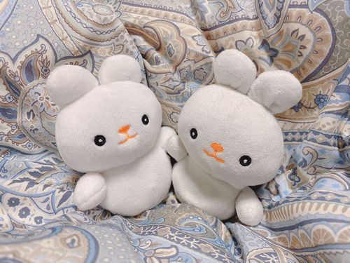 いちごちゃんです。
どっちがいちごちゃんかわかるかな？








正解はひだり！
右はぺちゃ（ぺちゃ1号）っていうの。今はちょっと愛されカラーで毛もパサパサさんだけど、あまくて優しいにおいがするの。
とっても優しいいいうさぎ♡