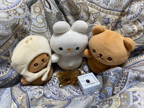 いちごちゃんです。
この前雨が降っててお外に出れなかったくまのふたご（左からキャラメル、チョコ）と宝石をみつめる会をしたよ〜。
