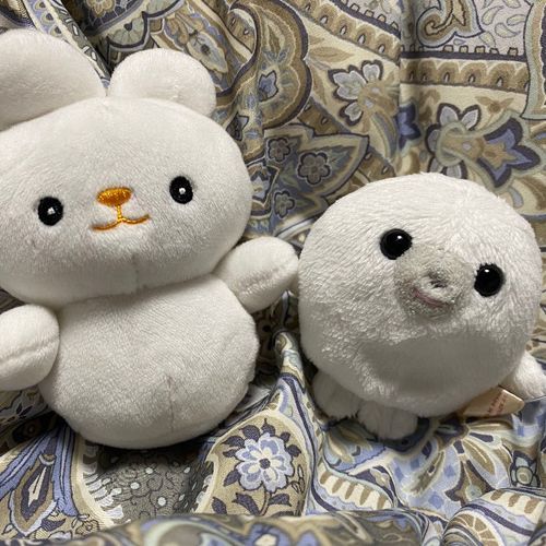 いちごちゃんです。
これはまるいのといっしょに過ごしたやつ！
手をつなぐと安心するのかニコニコしてくれるよ〜。