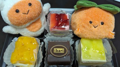 いろんな けーき！
おいしそう！