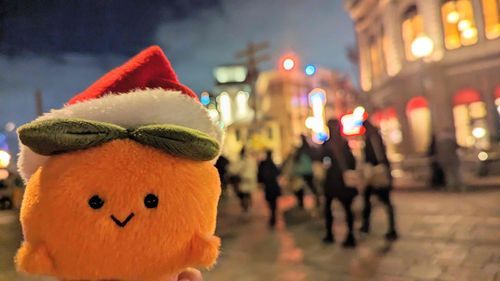 くりすます の 『じき』 の しゃしん を みていたよ！
え！ かき！ ふよ を さしおいて 『てーまぱーく』 に あそび に いっていたの？
さんた さん の ぼうし にあってるね！