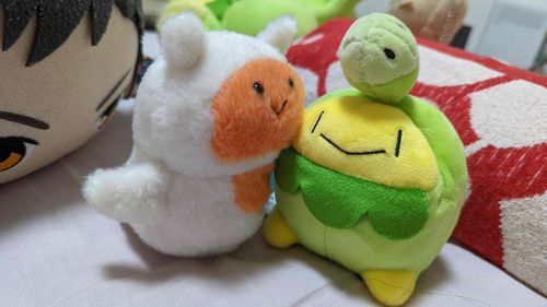 ふよ と すぼみー は なかよし！