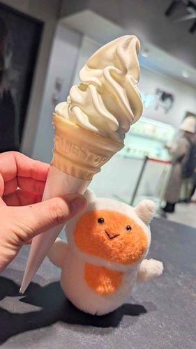 そふとくりーむ🍦
ふよ だけでは もてないから ふよぬし にも てつだって もらったよ！