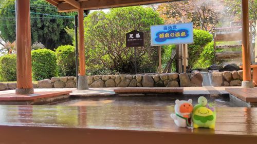 足湯〜！