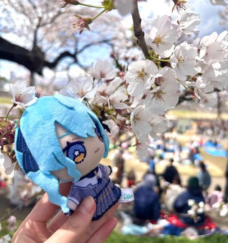 おきにいりショット