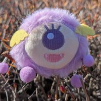 さきこ