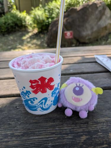 動物園に行ったのにかき氷との写真しか撮ってなかった🙈