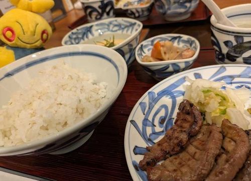 4月某日　はれ
ピクニック後の夕飯は牛タン
ピクニックの写真は撮り忘れたマク…
おいしかったマク〜