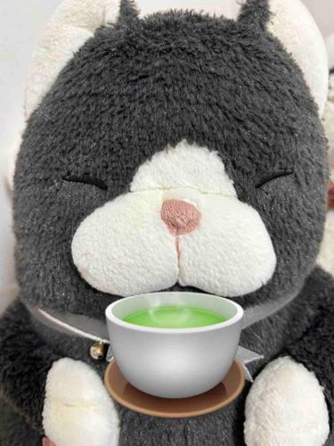 きょうも一日おつかれさま〜
あったかいおちゃのんでゆっくりやすもう