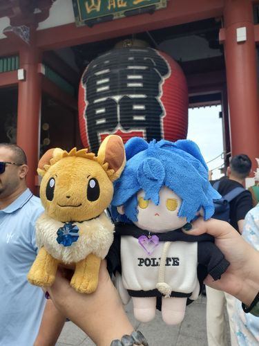 過去ログで申し訳ないですが浅草に行った時のお写真をば！！