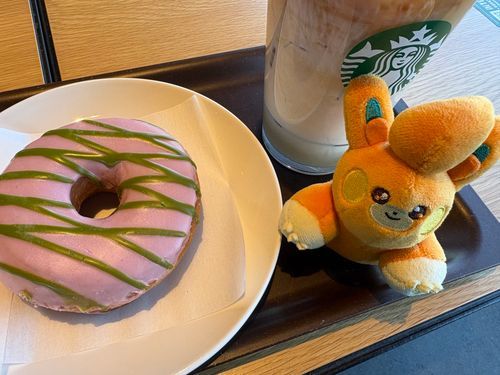 お茶してる‼️
