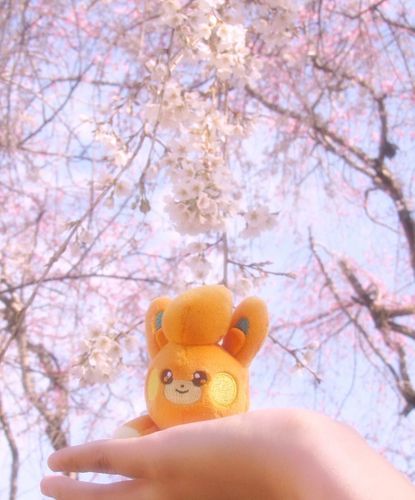 桜だよパモたん🌸