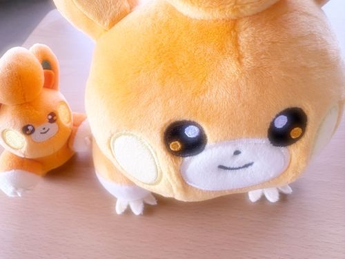 ﾊﾟﾓﾀﾞﾁが増えました🫶🫶