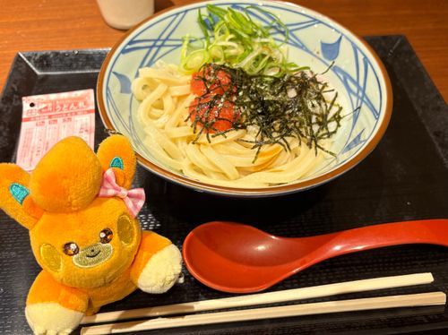 パモたんとうどん食べたよ🙌