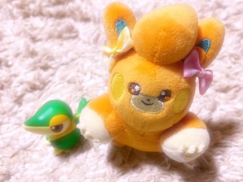 お友達が増えてルンルンﾊﾟﾓたん