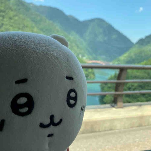 あたらしいくるまさんがきたからドライブにいってきたよ
やまのうえにおっきいかわがあってたかーいとこのはしわたったの
すごくこわかったけどどきどきしてたのしかったよ