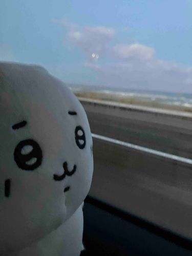 きょうはかぞくでりょこうだよ
こうべのちゅうかがいってとこいくの
にくまんとかたくさんたべたいなー
あさはやかったからねむい