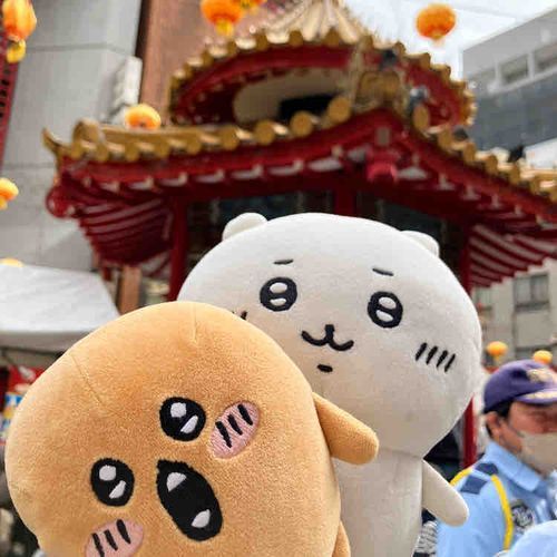 ちゅうかがいきた！