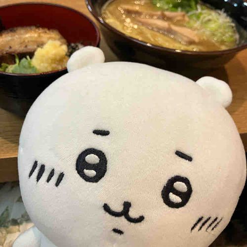 ことしいっかいめのかぞくでらーめんかつどうしてきたよ
すーぷにのりをひたひたにしてごはんまいてたべるのがりゅうぎ！