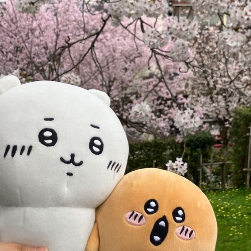けんろくえんはじめてきた！
おはなきれいだったよー
みんなでおだんごたべた
うれしいなぁ
