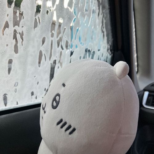 おそらのこうさってのでくるまさんがきたなくなったからくるまさんきかいであらってる
あとらくしょんみたいでたのしいー！