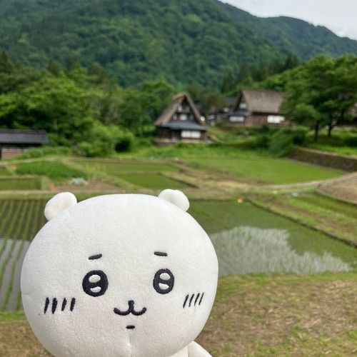 かえりにせかいいさん？のすごいやねのおうちいっぱいのとこきたよ
あいすおいしかった
