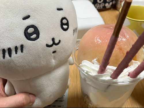 おかしゃんがもものぱっふぇつくってくれたの
おいしかったよー