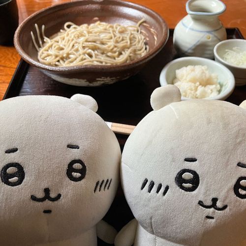きょうはいとこのちわちゃんとおぼんでおそばたべにいったよ
だいこんがとってもからかった
でもさいごにのむそばゆがすきなんだー