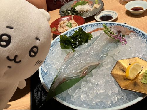 みてみて！いかだよ！