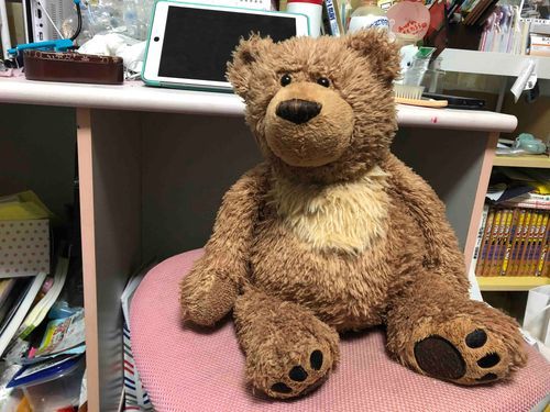 お風呂上がりのロッツォちゃん
完全に身体乾かなかったけど…
ドライヤーで、乾かした。
中までちゃんと乾いたかわからないけど、どうにかなるよね。