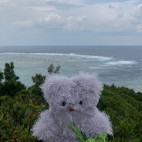 ぼくの名前は「ぶんた」です
よく、ぶんぶんって呼ばれてるよ
奄美大島で生まれたよ！
本を読むこと、音楽を聴くこと、美味しいものを食べること、が好き！
よろしくね♪