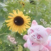 ぺぽたん