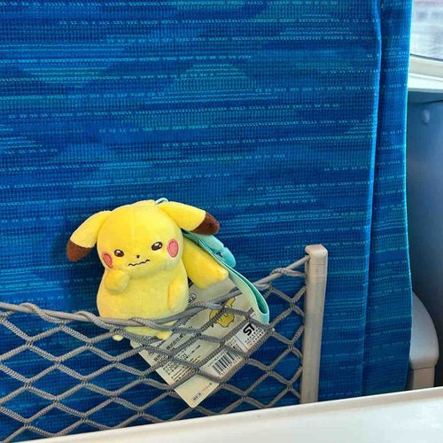はやいのりもの( > <。)ｺﾜｸﾅｲﾖ～!!