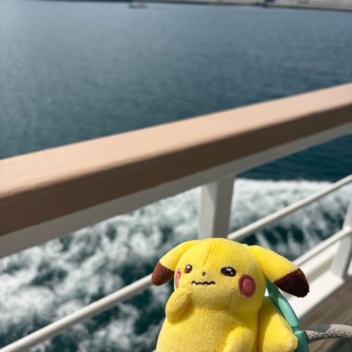 おふねにのったよ⛴️✮こわくないよ、ぴかちゅ( > <。)‎🤍