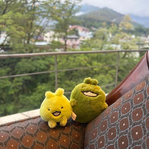 ｷｯｺﾛ🌱ﾓﾘｿﾞｰ🌳うちに来てくれてありがとうたくさんお出かけしようね(ᐡ.  ̫ .ᐡ )‎🤍