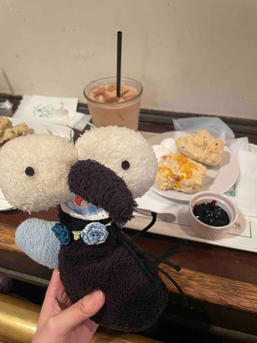 スコーン朝活！おいしい！