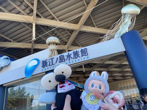 初めて江ノ水行ってきたよ！お友達も一緒！🪼🐬🐟🦭🦦🐠