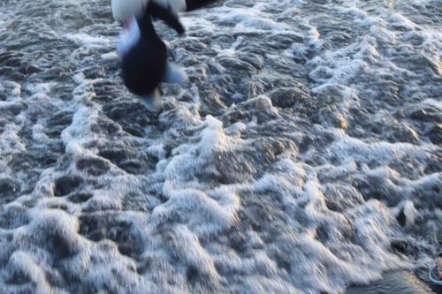 波だああああああああぁぁぁ🌊