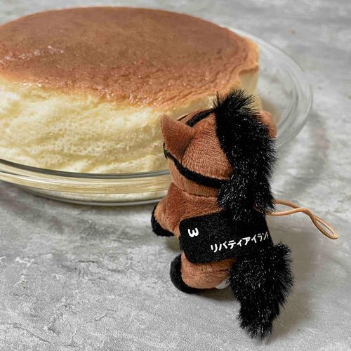 はじめてのぬい撮り(多分)。スフレチーズケーキとサラコレぷちぬいリバティ。

今日は羽田盃(大井競馬)。3歳ダート三冠競走の第一関門。リバティアイランドの注目馬はナチュラルライズです。

新馬戦から応援してるナチュラルライズ。ナチュラルライズはリバティアイランドと同じ誕生日。今日は競馬やめようと思ってたのにやめられなくなってしまいました。

ナチュラルライズはリバティアイランドとは違います。牡馬だしダート馬だし能力すば抜けてるから毎回人気してるけど超気性難でいつもかかりながら走っててケンタッキーダービーの優先出走権を獲得できずなぜか日本にいます。

なんで日本にいるんだよ。おまえは。とにかくがんばれ。