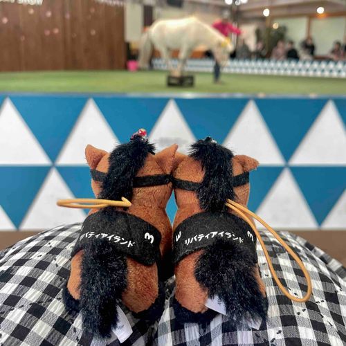ノーザンホースパーク🎠ハッピーポニーショー🎠🤍セサミくんのステージにわくわくリバぬいのおふたり🤍🤍

セサミくん、わたしがこどものころに初めて乗馬させてもらった馬に似てる。白い馬で男の子なのに花飾りで素敵にしてもらってるところも似てる。何回か乗馬しに行ったけど、わたしのこと覚えててくれて嬉しかった。こどもながらに感動したなあ。かわいさとたのしさとちょっぴりノスタルジックな気持ちになれる時間を過ごせました⭐️

------------------------------

5/3(土・祝)🏇競馬🏇予想結果🏇

🦄ユニコーンS🦄
◎④カナルビーグル(3番人気)：1着🥇
○⑤メイショウズイウン(2番人気)：3着🥉

🎖️京王杯SC🎖️
◎③ママコチャ(1番人気)：2着🥈
○④ロジリオン(3番人気)：3着🥉

どちらもワイドが当たりました👏



明日も競馬🏇あります🏇

5/4(日・祝)👑天皇賞・春👑リバティアイランドの注目馬は…

◎⑧ショウナンラプンタ
○⑭ビザンチンドリーム

がんばれ〜🎶📣🐴💛🩷