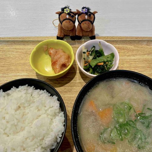 🐷豚汁定食🐷食べた🐷雨だし寒いし雷落ちるしthrillingでdangerousなtodayでした💣⚡️

------------------------------

🏇競馬🏇予想結果👯‍♀️🪩

🌱葵S🌿
◎⑬ムイ(5番人気)：12着
○⑫レイピア(8番人気)：3着🥉
▲⑮クラスペディア(13番人気)：2着🥈
☆④オンザブルースカイ(16番人気)：15着

レイピアとクラスペディアの応援馬券が的中🎯3連複やワイドなどはなにもかもムイから流したので外れました😞ムイ買うとき来ないし買わないとき来るので陰ながら応援します😞

クラスペディアは引き続きストーカーしまくりますが、レイピアも新たにストーカーしまくります‼️