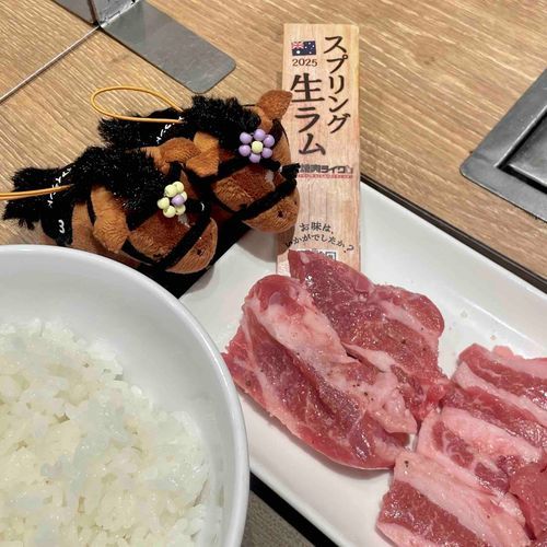 焼肉ライク🐏スプリング生ラム🐏🇦🇺

------------------------------

🏇競馬🏇予想担当：りばちーず👯‍♀️
6/14(土)重賞レースの注目馬は…

🐳函館SS🐳
◎⑦ナムラクレア
○④カピリナ
▲⑩ジョーメッドヴィン
☆⑨フィオライア

🐬東京JS🐬
◎⑦ジューンベロシティ
○⑤ロスコフ
▲⑪スヴァルナ
☆⑥ダイシンクローバー

がんばれ〜🎶📣🐴🪽🌈