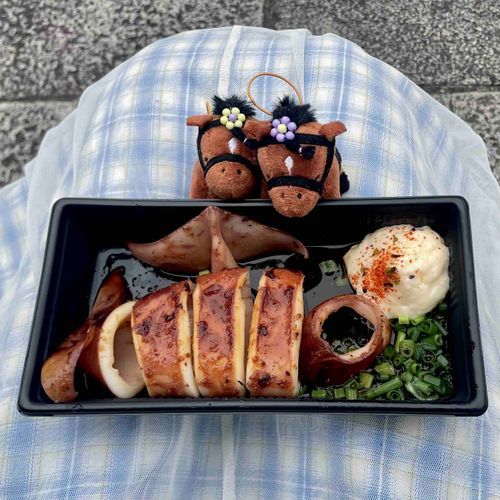 🏇東京競馬場🏇大判スルメイカ姿焼き🦑🔥函館と相性が悪いため函館と仲直りしたくて函館といえばイカを食べました。結果は…


🐳函館SS🐳
◎⑦ナムラクレア(1番人気)：8着
○④カピリナ(2番人気)：1着🥇
▲⑩ジョーメッドヴィン(12番人気)：7着
☆⑨フィオライア(15番人気)：14着

🐬東京JS🐬
◎⑦ジューンベロシティ(1番人気)：1着🥇
○⑤ロスコフ(3番人気)：4着
▲⑪スヴァルナ(11番人気)：3着🥉
☆⑥ダイシンクローバー(9番人気)：11着


函館SSは○④カピリナがハナ差の接戦を制し重賞初勝利。しかし相変わらず函館とは馬券の相性が悪いみたいで回収率10.3%😿

一方の東京JSはブービー人気の▲⑪スヴァルナが3着🥉穴党の本領を発揮できたり、④と⑤を間違えて買った馬単が当たって棚ぼたラッキーできたりしました🌟


明日の宝塚記念は3連系を当てたいです💎