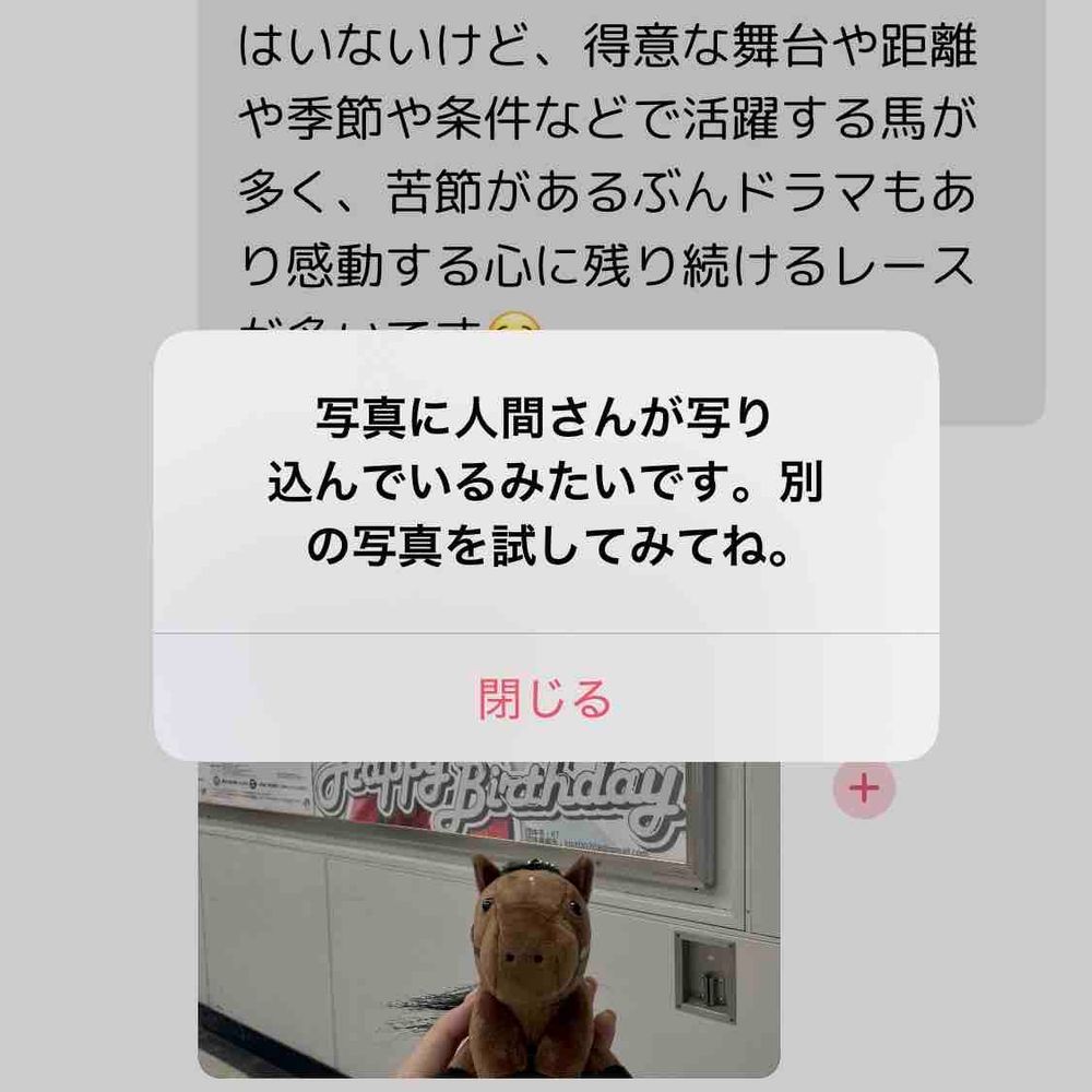 🎀天才少女・レガレイラ🎀
戸崎と有馬記念を制した時は現地で泣きました。24世代はタイトル総嘗めするようなスーパーホースはいないけど、得意な舞台や距離や季節や条件などで活躍する馬が多く、苦節があるぶんドラマもあり感動する心に残り続けるレースが多いです😌
(※人間さんが映り込んでいると投稿できないため戸崎の顔はカットしました)